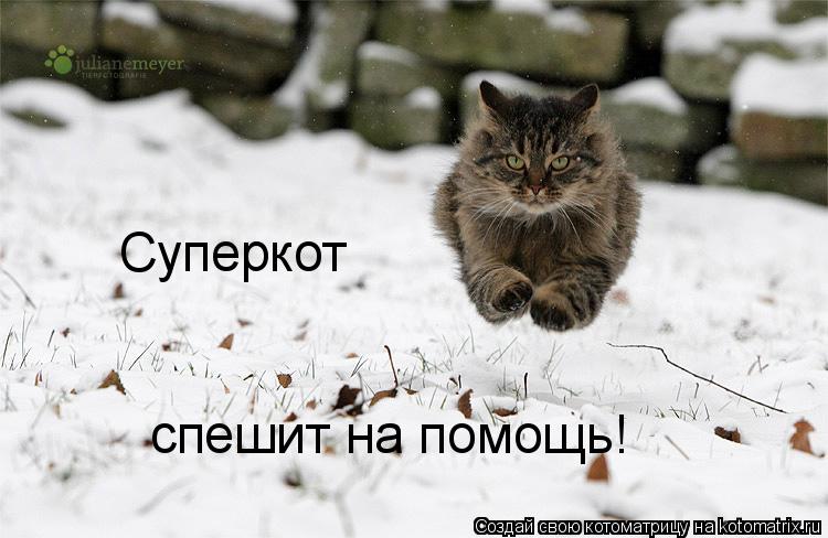 Котоматрица: Суперкот спешит на помощь!