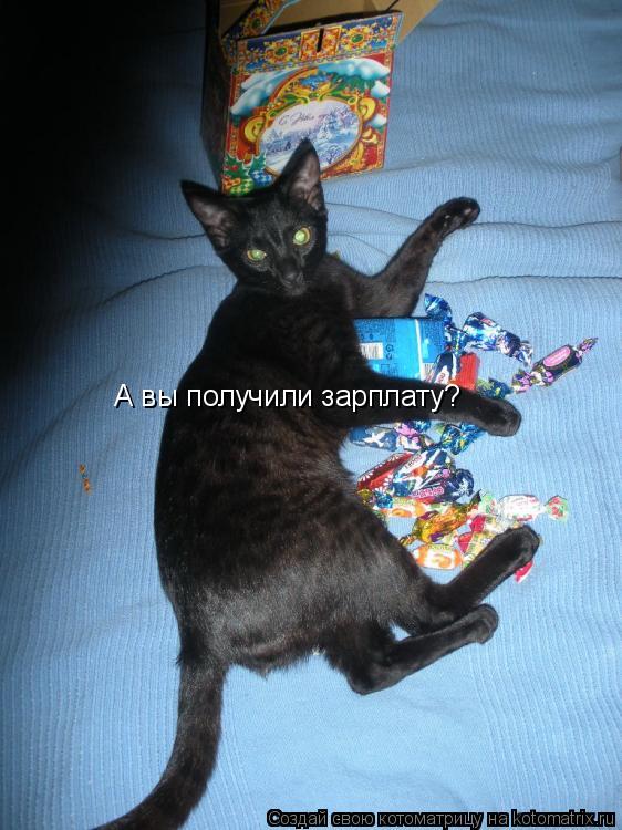 Котоматрица: А вы получили зарплату?