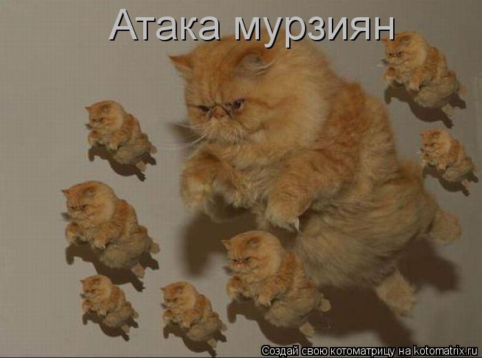 Котоматрица: Атака мурзиян