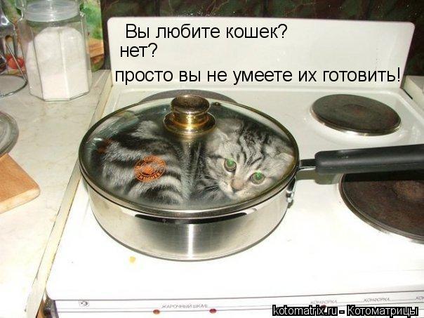 Котоматрица: Вы любите кошек? просто вы не умеете их готовить! нет?