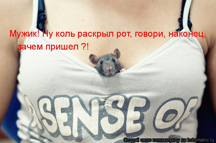 Котоматрица: Мужик! Ну коль раскрыл рот, говори, наконец, зачем пришел ?!