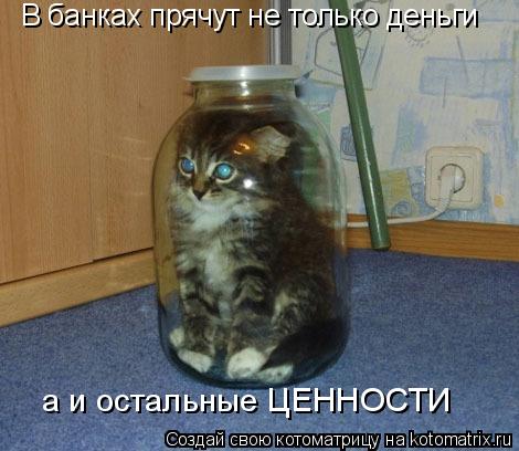 В банках прячут не только деньги а и остальные ЦЕННОСТИ... Котоматрица: В банках прячут не только деньги а и остальные ЦЕННОСТИ