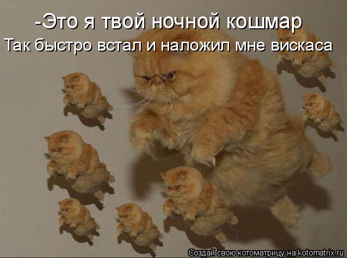 -Это я твой ночной кошмар Так быстро встал и наложил мне вискаса... Котоматрица: -Это я твой ночной кошмар Так быстро встал и наложил мне вискаса