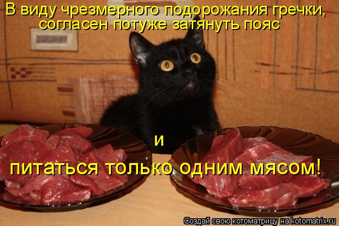Котоматрица: В виду чрезмерного подорожания гречки, питаться только одним мясом! согласен потуже затянуть пояс  и
