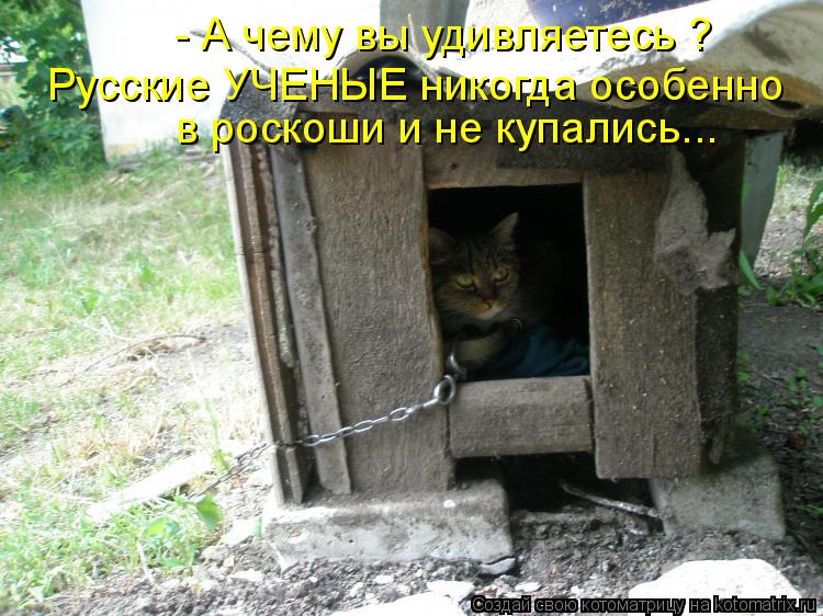 Котоматрица: в роскоши и не купались... Русские УЧЕНЫЕ никогда особенно - А чему вы удивляетесь ?