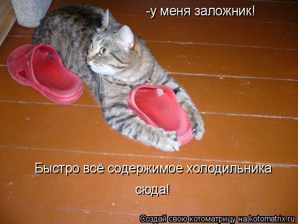 Котоматрица: -у меня заложник! Быстро всё содержимое холодильника сюда!