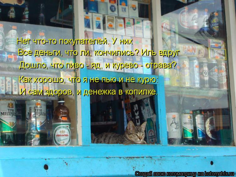 Котоматрица: Нет что-то покупателей. У них Все деньги, что ли, кончились? Иль вдруг Дошло, что пиво - яд, и курево - отрава? Как хорошо, что я не пью и не курю: 