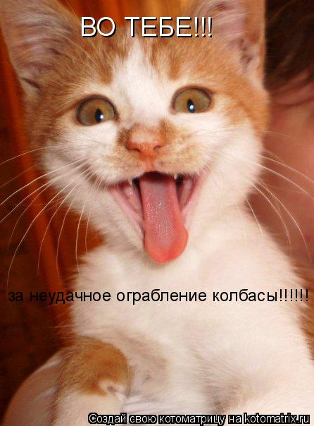 Котоматрица: ВО ТЕБЕ!!! за неудачное ограбление колбасы!!!!!!