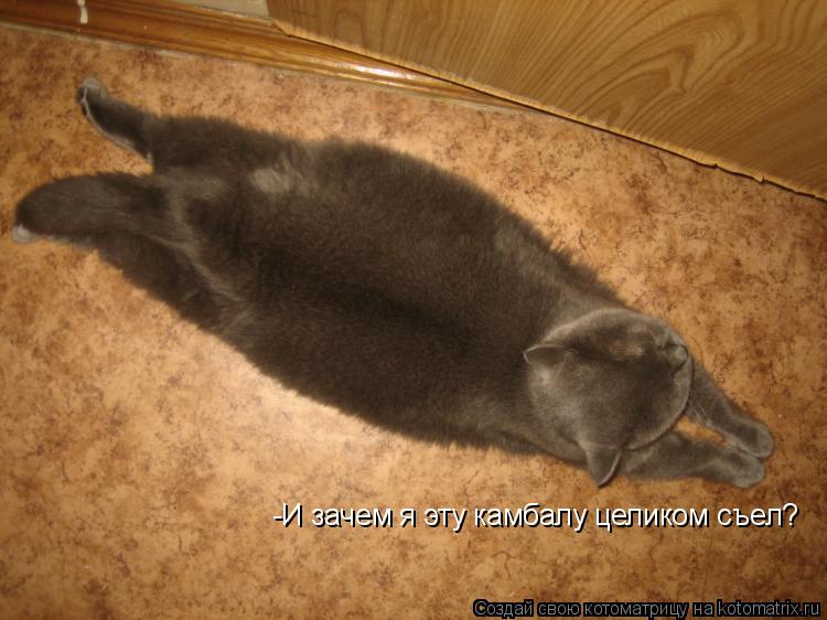 Котоматрица: -И зачем я эту камбалу целиком съел?