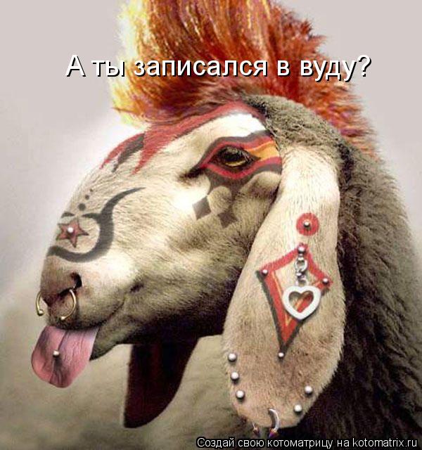 Котоматрица: А ты записался в вуду?