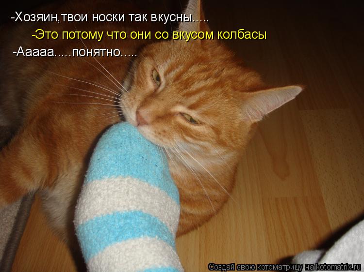 Котоматрица: -Хозяин,твои носки так вкусны..... -Это потому что они со вкусом колбасы -Ааааа.....понятно.....