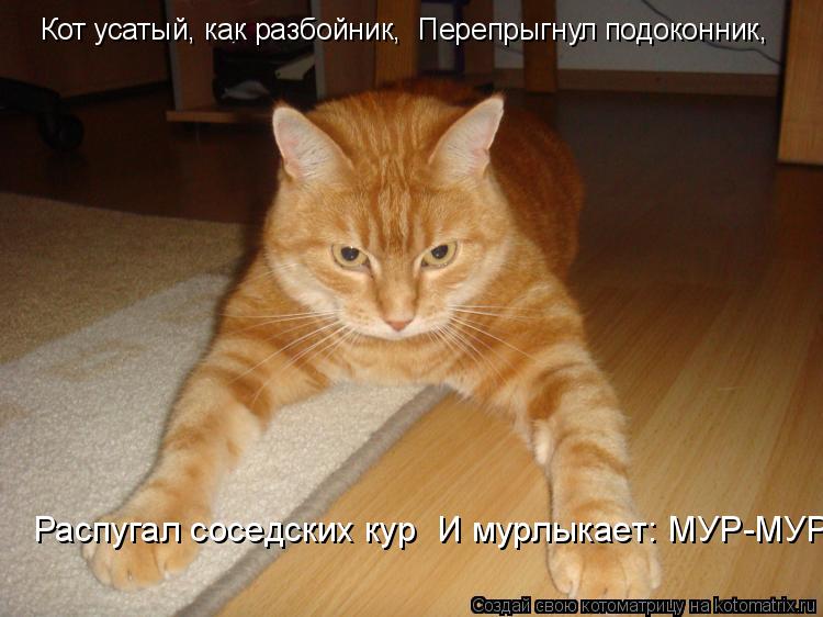 Котоматрица: Кот усатый, как разбойник,  Перепрыгнул подоконник, Распугал соседских кур  И мурлыкает: МУР-МУР!