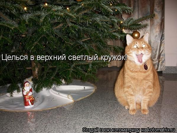 Котоматрица: Целься в верхний светлый кружок!