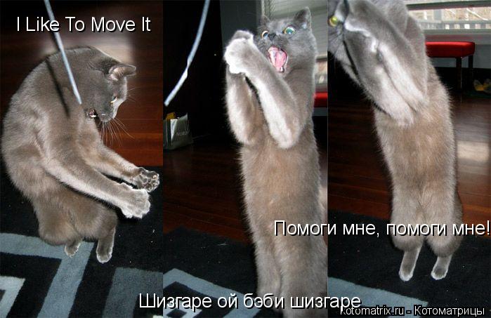 I Like To Move It Шизгаре ой бэби шизгаре Помоги мне, помоги мне!!!!!!!!!... Котоматрица: I Like To Move It Шизгаре ой бэби шизгаре Помоги мне, помоги мне!!!!!!!!!