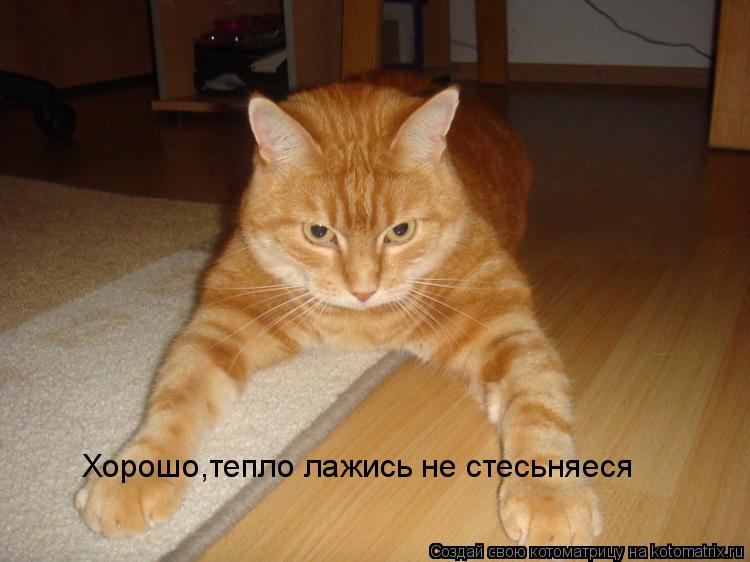 Хорошо,тепло лажись не стесьняеся... Котоматрица: Хорошо,тепло лажись не стесьняеся