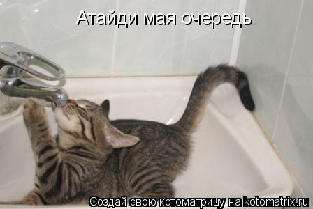 Атайди мая очередь... Котоматрица: Атайди мая очередь