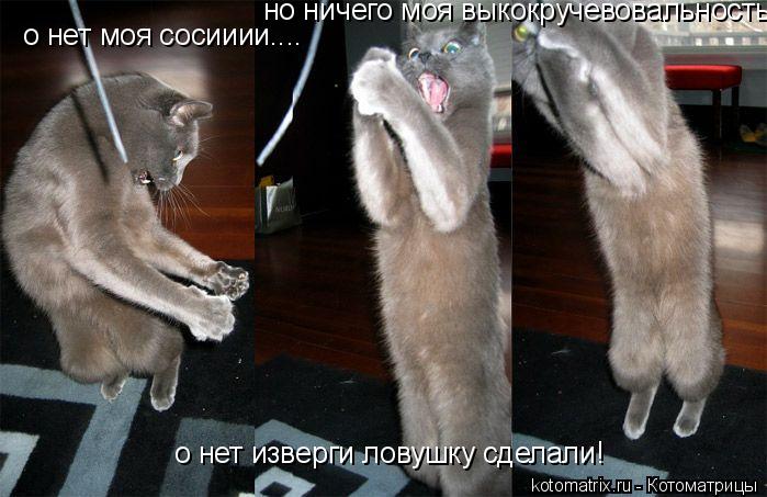 о нет моя сосииии.... о нет изверги ловушку сделали! но ничего моя выкокручевовальность!... Котоматрица: о нет моя сосииии.... о нет изверги ловушку сделали! но ничего моя выкокручевовальность!