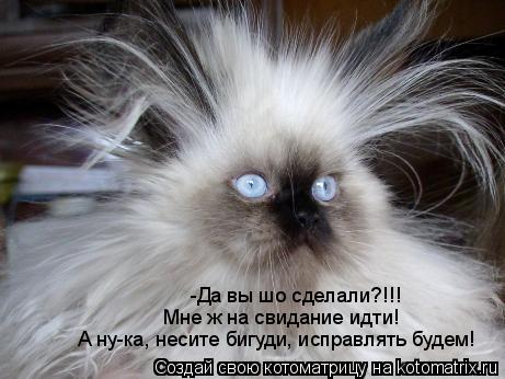 -Да вы шо сделали?!!! Мне ж на свидание идти! А ну-ка, несите бигуди, исправлять будем!... Котоматрица: -Да вы шо сделали?!!! Мне ж на свидание идти! А ну-ка, несите бигуди, исправлять будем!