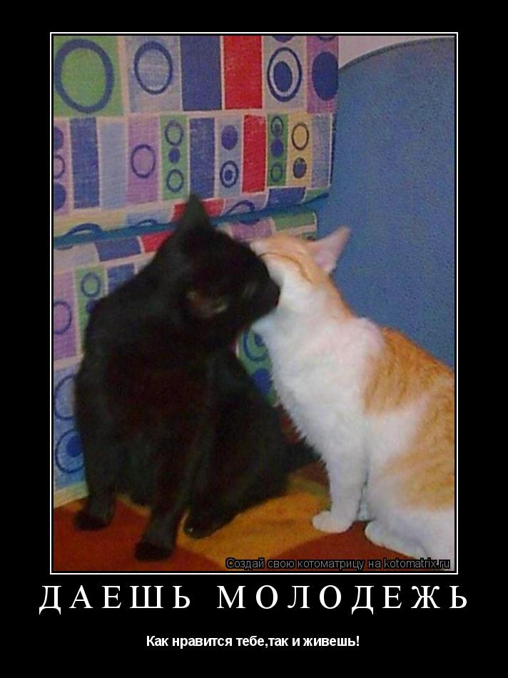 Котоматрица: 	Даёшь молодёжь  Как нравится тебе,так и живешь!