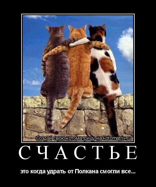 Котоматрица: счастье это когда удрать от Полкана смогли все...