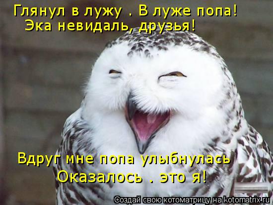 Глянул в лужу — В луже попа! Эка невидаль, друзья! Вдруг мне попа улыбнулась Оказалось — это я!... Котоматрица: Глянул в лужу — В луже попа! Эка невидаль, друзья! Вдруг мне попа улыбнулась Оказалось — это я!