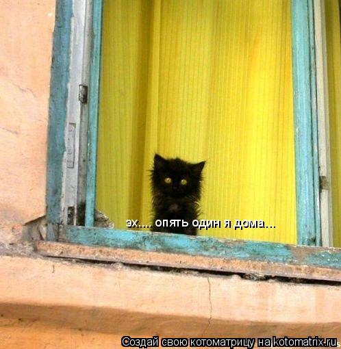 эх.... опять один я дома...... Котоматрица: эх.... опять один я дома...