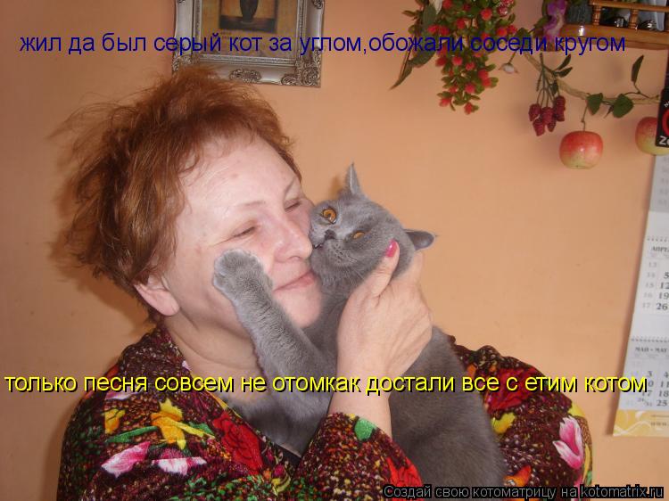 жил да был серый кот за углом,обожали соседи кругом только песня совсем не отомкак достали все с етим... Котоматрица: жил да был серый кот за углом,обожали соседи кругом только песня совсем не отомкак достали все с етим котом
