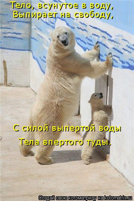 Тело, всунутое в воду, Выпирает на свободу, С силой выпертой воды Тела впертого туды.... Котоматрица: Тело, всунутое в воду, Выпирает на свободу, С силой выпертой воды Тела впертого туды.