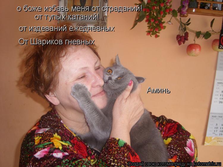 о боже избавь меня от страданий! от тупых катаний! от издеваний ежедневных От Шариков гневных Аминь... Котоматрица: о боже избавь меня от страданий! от тупых катаний! от издеваний ежедневных От Шариков гневных Аминь