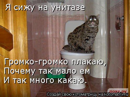 Хожу громко в туалет что делать Хожу громко в туалет что делать