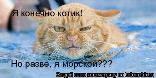 Котоматрица: Я конечно котик! Но разве, я морской???