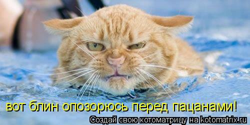 Котоматрица: вот блин опозорюсь перед пацанами!
