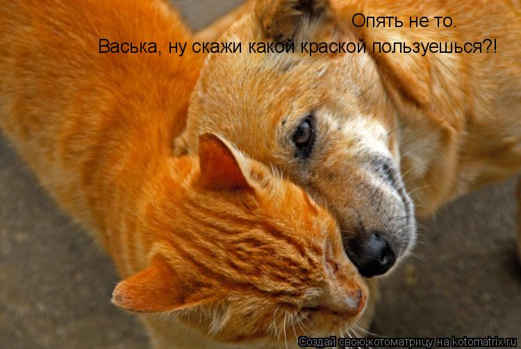 Котоматрица: Васька, ну скажи какой краской пользуешься?! Опять не то.