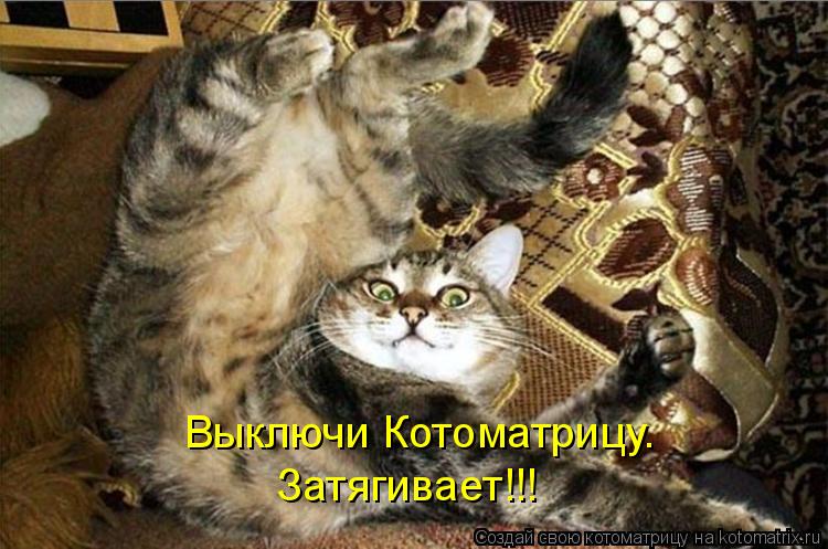 Выключи Котоматрицу. Затягивает!!!... Котоматрица: Выключи Котоматрицу. Затягивает!!!
