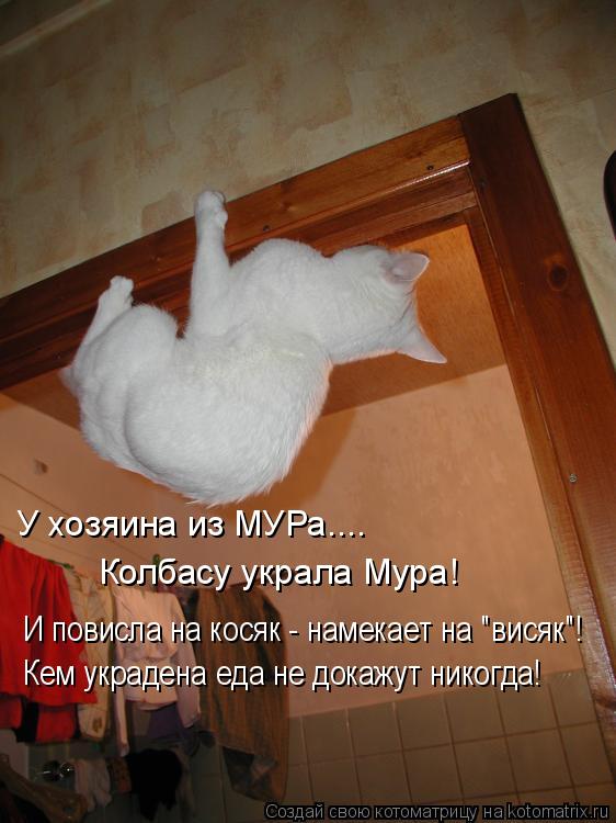 Котоматрица: У хозяина из МУРа.... Колбасу украла Мура! И повисла на косяк - намекает на "висяк"! Кем украдена еда не докажут никогда!