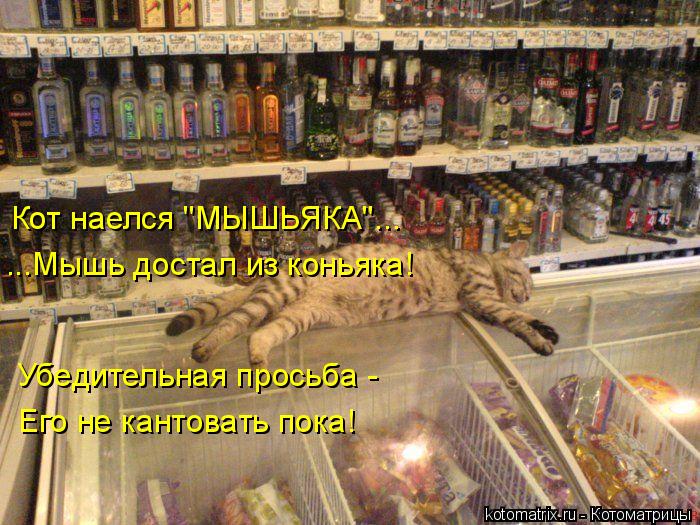 Кот наелся "МЫШЬЯКА"... ...Мышь достал из коньяка! Убедительная просьба - Его не кантовать пока!... Котоматрица: Кот наелся "МЫШЬЯКА"... ...Мышь достал из коньяка! Убедительная просьба - Его не кантовать пока!