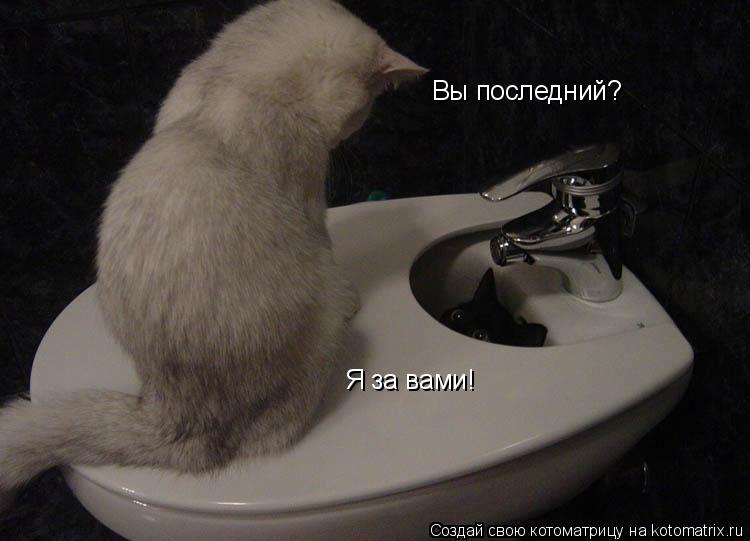 Вы последний? Я за вами!... Котоматрица: Вы последний? Я за вами!