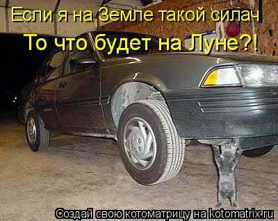 Если я на Земле такой силач То что будет на Луне?!... Котоматрица: Если я на Земле такой силач То что будет на Луне?!