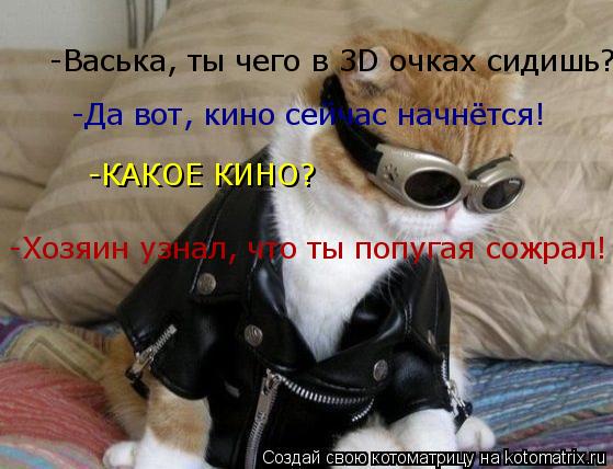 -Васька, ты чего в 3D очках сидишь? -Васька, ты чего в 3D очках сидишь? -Да вот, кино сейчас начнётся... Котоматрица: -Васька, ты чего в 3D очках сидишь? -Васька, ты чего в 3D очках сидишь? -Да вот, кино сейчас начнётся! -КАКОЕ КИНО? -Хозяин узнал, что ты попугая сож