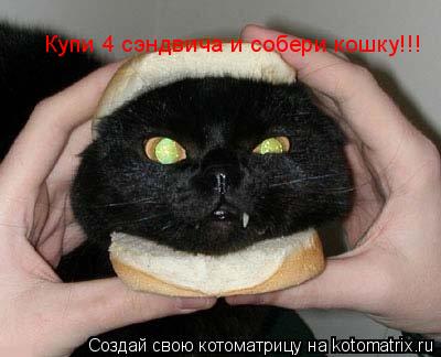 Купи 4 сэндвича и собери кошку!!!... Котоматрица: Купи 4 сэндвича и собери кошку!!!