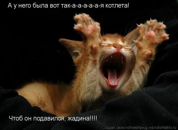 Котоматрица: А у него была вот так-а-а-а-а-а-я котлета! Чтоб он подавился, жадина!!!!