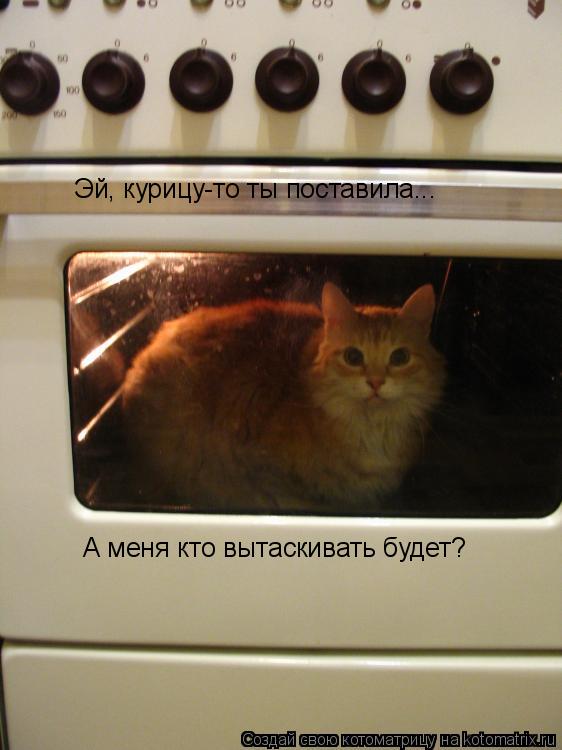 Котоматрица: Эй, курицу-то ты поставила... А меня кто вытаскивать будет?