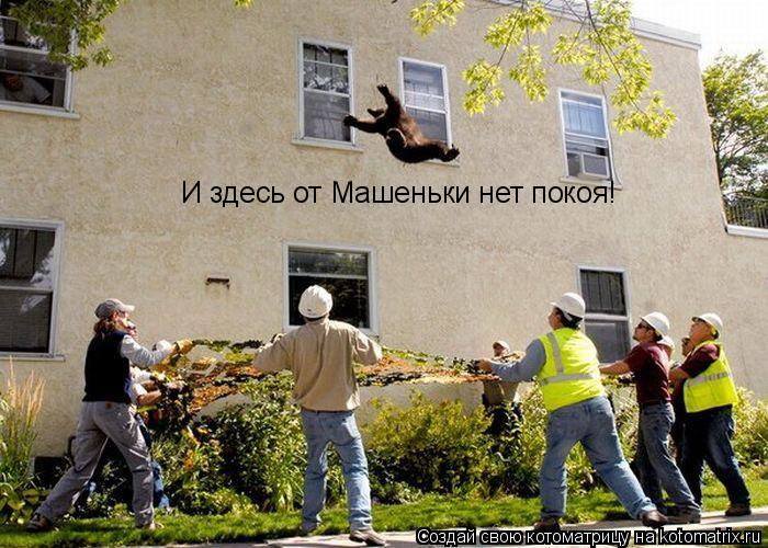 И здесь от Машеньки нет покоя!... Котоматрица: И здесь от Машеньки нет покоя!