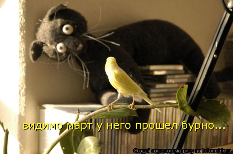 видимо март у него прошел бурно...... Котоматрица: видимо март у него прошел бурно...