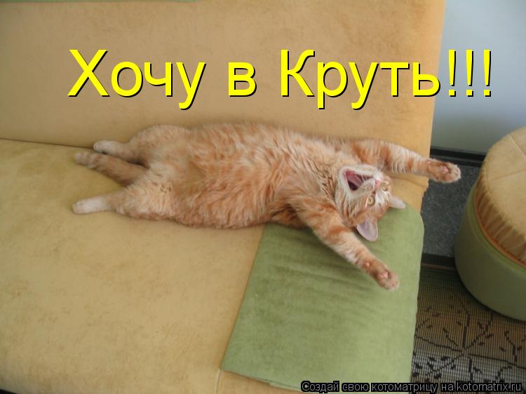 Хочу в Круть!!!... Котоматрица: Хочу в Круть!!!
