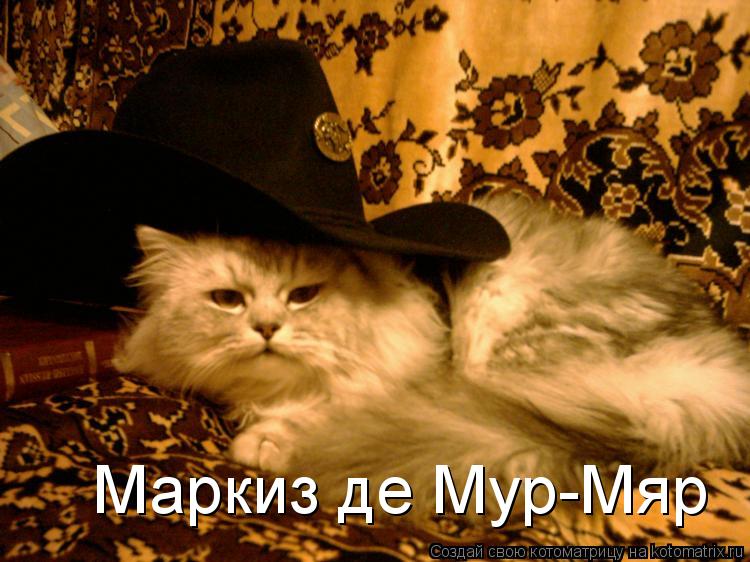 Маркиз де Мур-Мяр... Котоматрица: Маркиз де Мур-Мяр