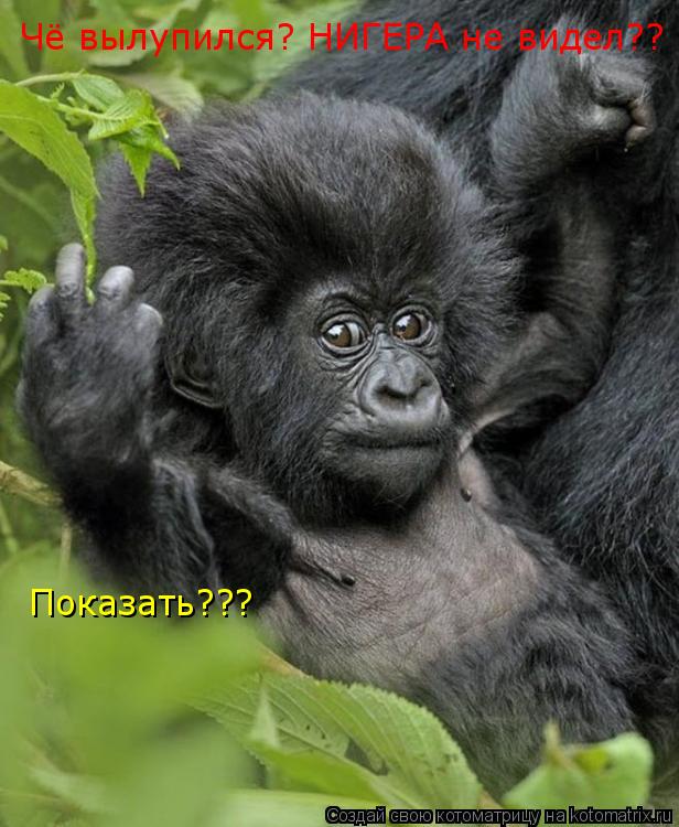 Чё вылупился? НИГЕРА не видел?? Показать???... Котоматрица: Чё вылупился? НИГЕРА не видел?? Показать???