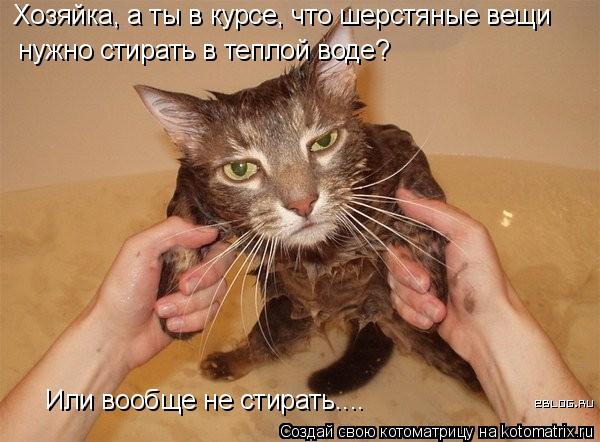 Хозяйка, а ты в курсе, что шерстяные вещи Или вообще не стирать.... нужно стирать в теплой воде?... Котоматрица: Хозяйка, а ты в курсе, что шерстяные вещи Или вообще не стирать.... нужно стирать в теплой воде?