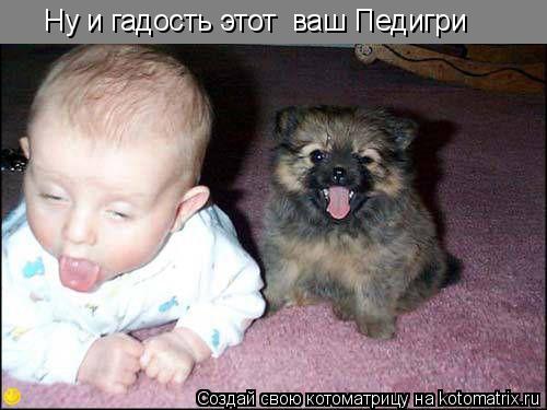 Ну и гадость этот ваш Педигри... Котоматрица: Ну и гадость этот ваш Педигри