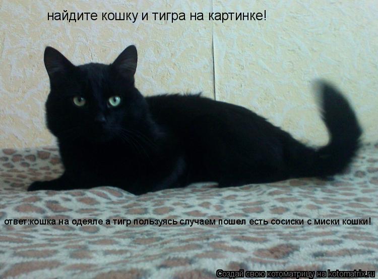 найдите кошку и тигра на картинке! ответ:кошка на одеяле а тигр пользуясь случаем пошел есть сосиски ... Котоматрица: найдите кошку и тигра на картинке! ответ:кошка на одеяле а тигр пользуясь случаем пошел есть сосиски с миски кошки!